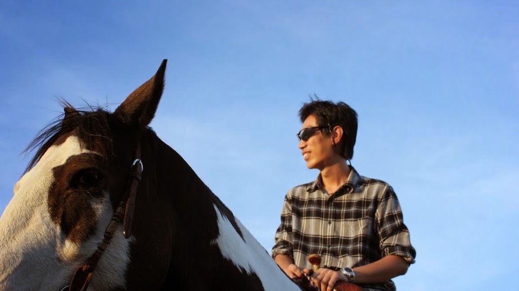 Feng Xiao with a horse in the field