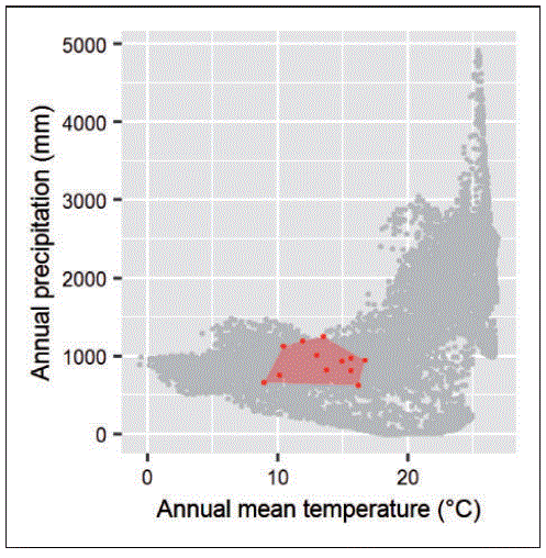 Climate niche figure from current lab site