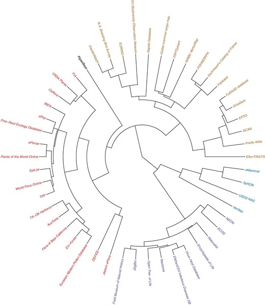 Phylogenetic tree style comparison of biodiversity informatics databases