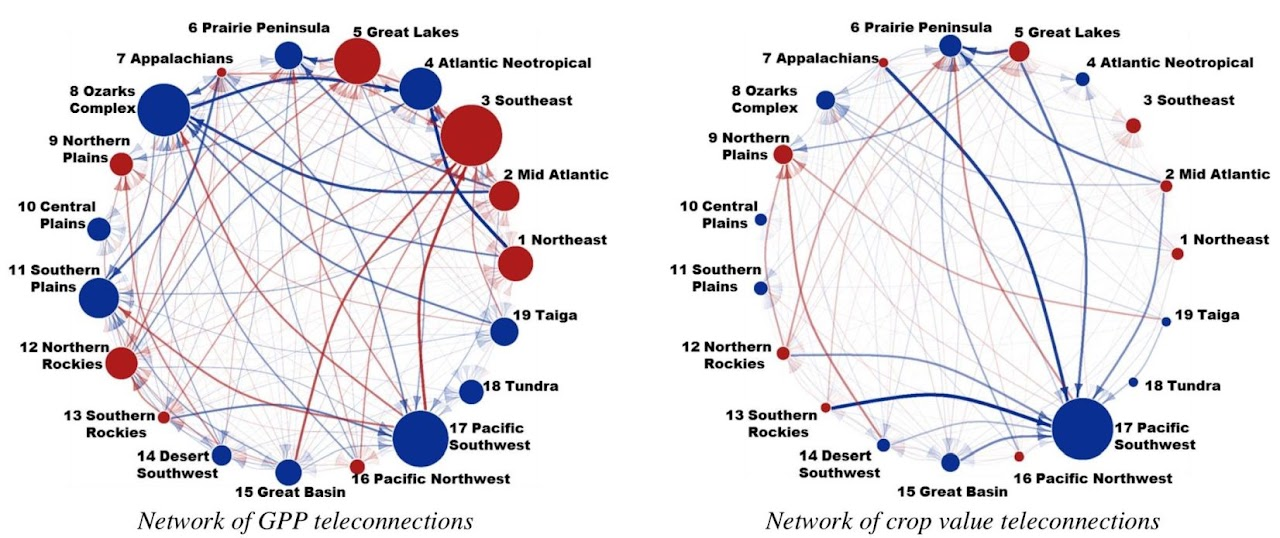Ecoclimate teleconnection networks