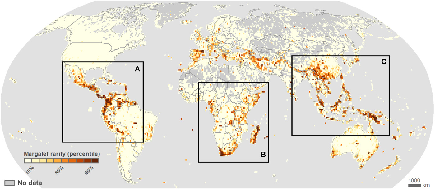 Global map of plant rarity