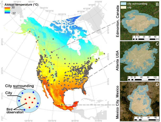Map of North American cities and surrounding areas for urban bird diversity study